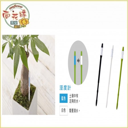 【向花緣】SUSTEE土壤濕度計、植物水分計-日本原裝進口 (智慧型監測計、無須安裝電池)