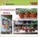 【向花緣】日式素色陶瓷盆栽 - 2.5吋