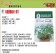 【向花緣】農友 歐芹 (巴西里、巴西利、荷蘭芹) - 香藥草種子
