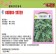 【向花緣】農友 寬葉百里香 - 香藥草種子